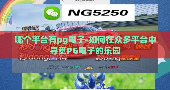哪个平台有pg电子-如何在众多平台中寻觅PG电子的乐园 哪个平台有pg电子-如何在众多平台中寻觅PG电子的乐园