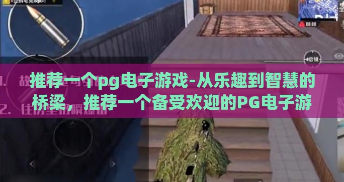 推荐一个pg电子游戏-从乐趣到智慧的桥梁，推荐一个备受欢迎的PG电子游戏——星际迷航，舰桥指挥官