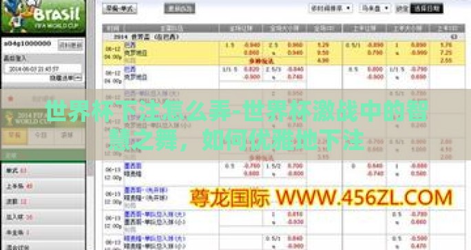 世界杯下注怎么弄-世界杯激战中的智慧之舞，如何优雅地下注