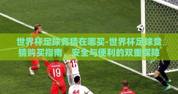世界杯足球竞猜在哪买-世界杯足球竞猜购买指南，安全与便利的双重保障