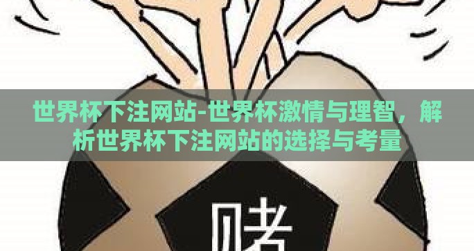 世界杯下注网站-世界杯激情与理智，解析世界杯下注网站的选择与考量