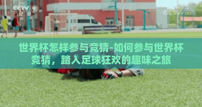 世界杯怎样参与竞猜-如何参与世界杯竞猜，踏入足球狂欢的趣味之旅