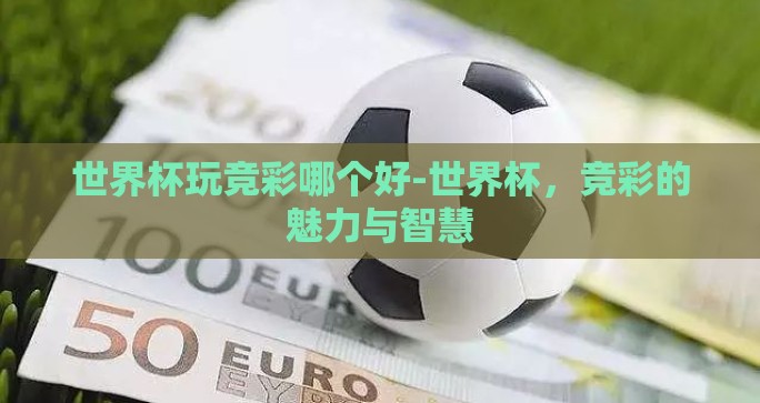世界杯玩竞彩哪个好-世界杯，竞彩的魅力与智慧
