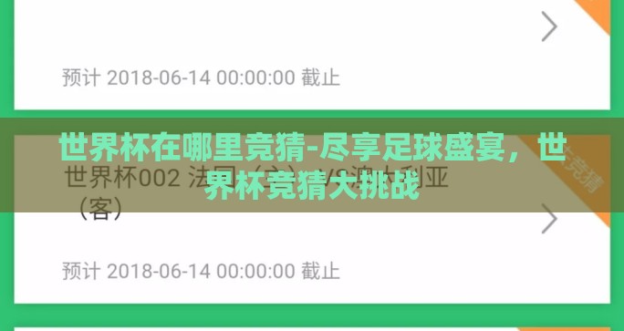 世界杯在哪里竞猜-尽享足球盛宴，世界杯竞猜大挑战