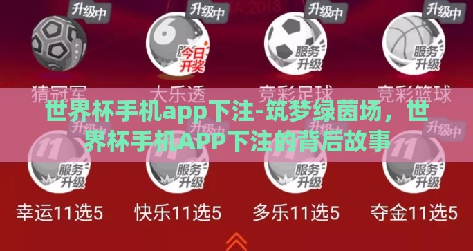 世界杯手机app下注-筑梦绿茵场，世界杯手机APP下注的背后故事
