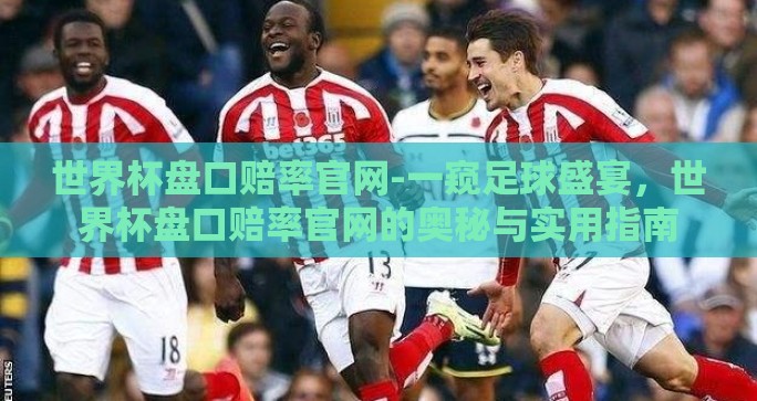 世界杯盘口赔率官网-一窥足球盛宴，世界杯盘口赔率官网的奥秘与实用指南