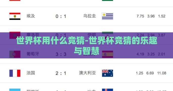 世界杯用什么竞猜-世界杯竞猜的乐趣与智慧