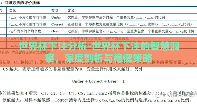 世界杯下注分析-世界杯下注的智慧洞察，深度剖析与稳健策略