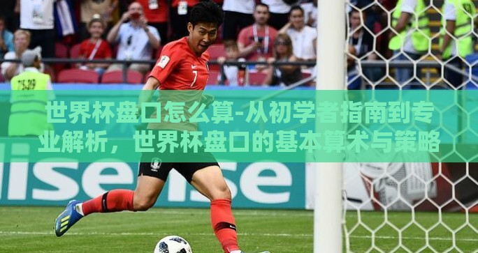 世界杯盘口怎么算-从初学者指南到专业解析，世界杯盘口的基本算术与策略