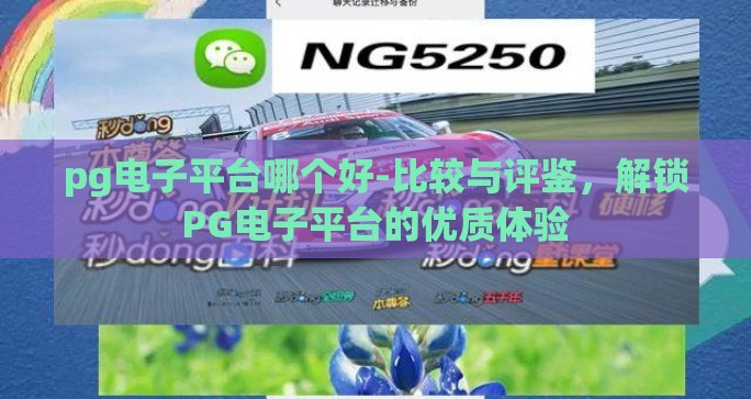 pg电子平台哪个好-比较与评鉴，解锁PG电子平台的优质体验