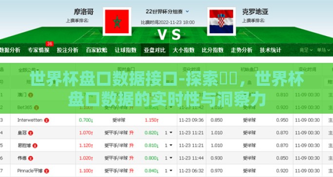 世界杯盘口数据接口-探索​​，世界杯盘口数据的实时性与洞察力