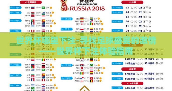 世界杯哪里下注-寻找足球盛宴的激情——世界杯下注体验指南