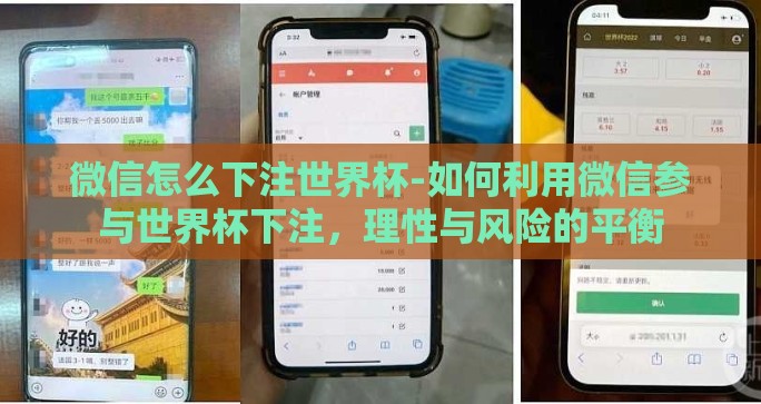 微信怎么下注世界杯-如何利用微信参与世界杯下注，理性与风险的平衡