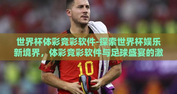 世界杯体彩竞彩软件-探索世界杯娱乐新境界，体彩竞彩软件与足球盛宴的激情碰撞