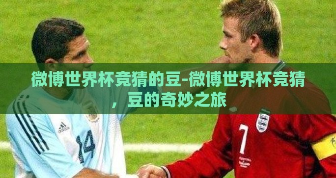 微博世界杯竞猜的豆-微博世界杯竞猜，豆的奇妙之旅