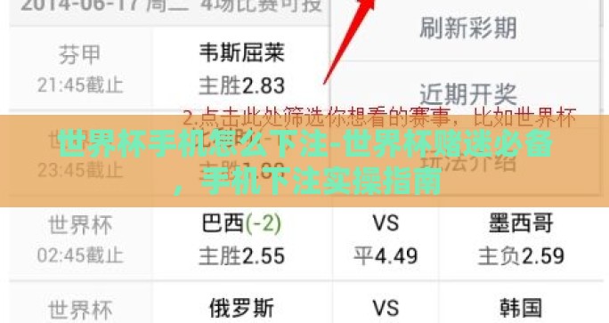 世界杯手机怎么下注-世界杯赌迷必备，手机下注实操指南