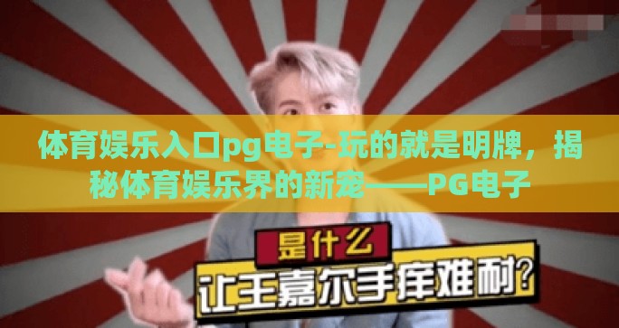 体育娱乐入口pg电子-玩的就是明牌，揭秘体育娱乐界的新宠——PG电子