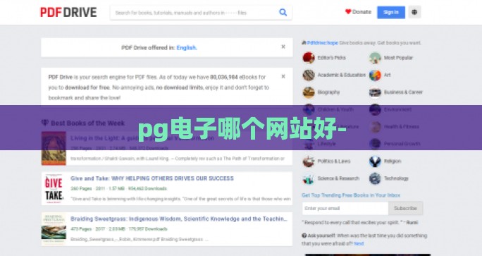 pg电子哪个网站好-