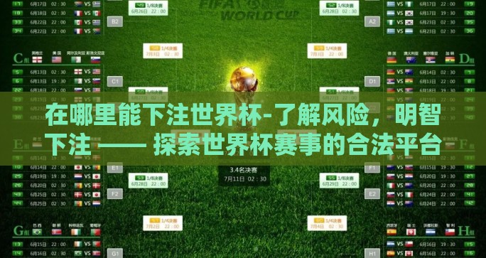 在哪里能下注世界杯-了解风险，明智下注 —— 探索世界杯赛事的合法平台与注意事项
