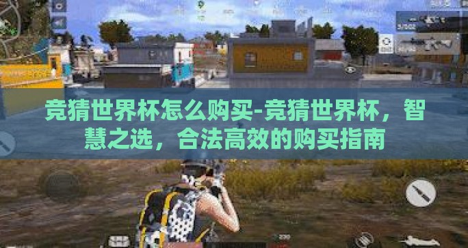竞猜世界杯怎么购买-竞猜世界杯，智慧之选，合法高效的购买指南